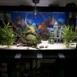 Aquatlantis 144 L