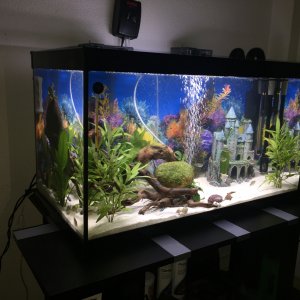 Aquatlantis 144 L