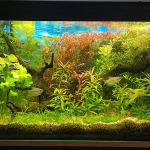 Acuario 120 Litros