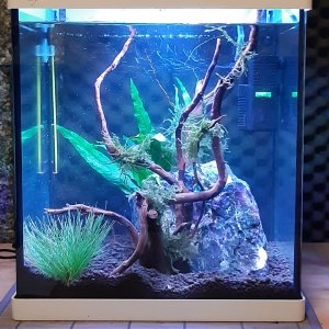 20L