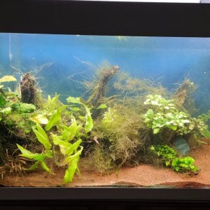 Acuario Eihem 126 litros