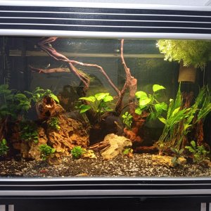 acuario con cristal rayado