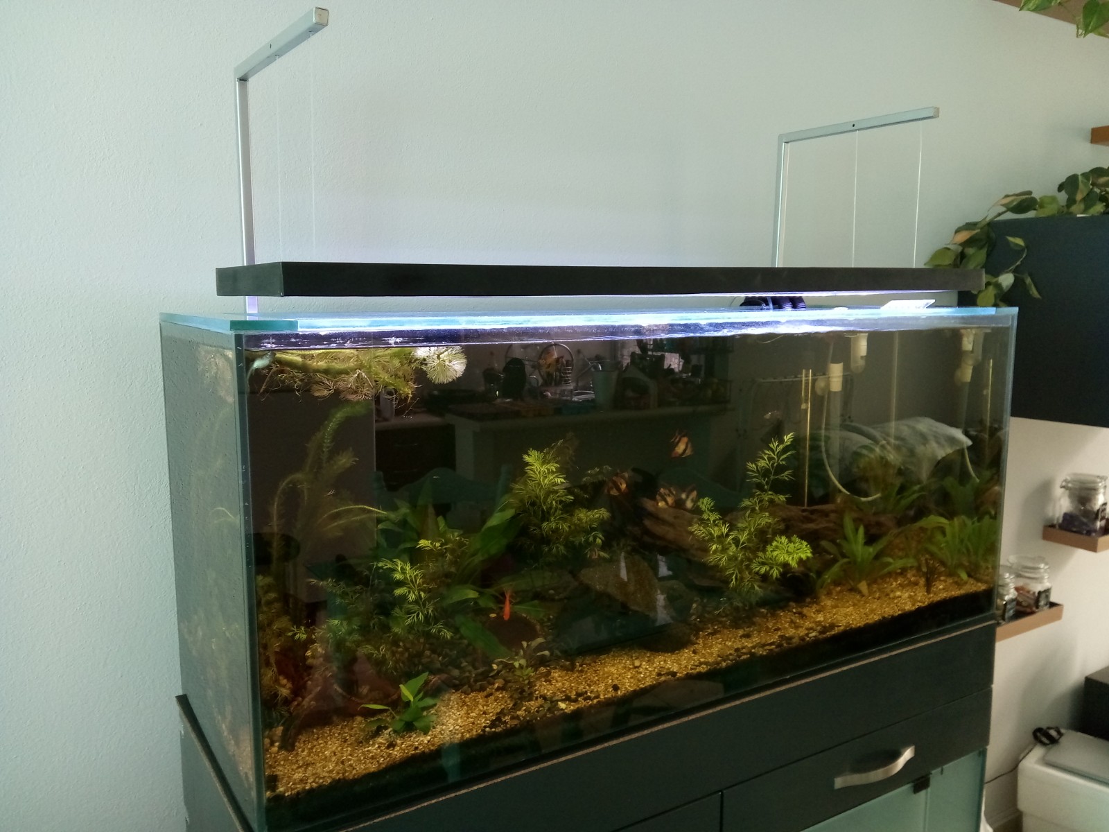 Construyendo el Acuario 200L